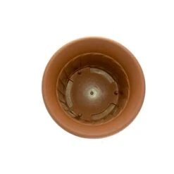 B&M Terracotta Round Planter 45cm -EcoPatio Shop 235615 Woodland Fern Design Terracotta Round 45cm Planter 3
