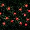 B&M 30 Insect Solar String Lights - Ladybird -EcoPatio Shop 265270 20 Nature String Solar Lights Ladybird1