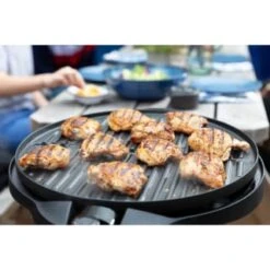 George Foreman Indoor-Outdoor BBQ Grill 19 George Foreman Indoor-Outdoor BBQ Grill -EcoPatio Shop 268846 george foreman bbq grill 4