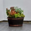 B&M Oakwood Barrel Planter 50cm -EcoPatio Shop 291239 oakwood barrel planter 50cm