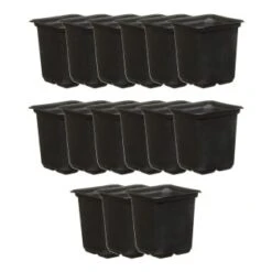 B&M Black Plant Pots 15pk 6 B&M Black Plant Pots 15pk -EcoPatio Shop 319024 grow your own 15 plant pots 7cm 21