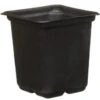 B&M Black Plant Pots 15pk 1 B&M Black Plant Pots 15pk -EcoPatio Shop 319024 grow your own 15 plant pots 7cm 31