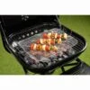 Barbecue Grill Trays 2pk -EcoPatio Shop 353350 2pk bbq grill trays
