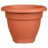 B&M Bell Pot Planter 30cm - Terracotta -EcoPatio Shop 369864 bell pot planter 30cm terracotta