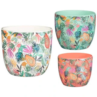 B&M Superbloom Sun Ceramic Plant Pots 3pk - Floral 3 B&M Superbloom Sun Ceramic Plant Pots 3pk - Floral