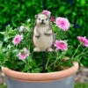 B&M Carved Wood Effect Garden Plant Pot Stick - Hedgehog 1 B&M Carved Wood Effect Garden Plant Pot Stick - Hedgehog -EcoPatio Shop 379521 wood animal pot sticks hedgehog