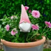 B&M Garden Gonk Plant Pot Stick - Pink -EcoPatio Shop 379522 garden gonk pot sticks pink