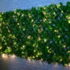 Bloom Solar Powered Expanding Artificial Leaf Trellis 200 X 100cm -EcoPatio Shop 379978 expanding leafy trellis 100 leds 2x1m 2