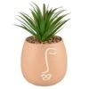 B&M Face Planter -EcoPatio Shop 380602 face planter