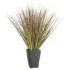 B&M Onion Grass In Black Terracotta Pot -EcoPatio Shop 392866 onion grass in black terracotta pot