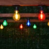 Eveready Mains Powered LED Bulb String Lights 20pk - Multicolour -EcoPatio Shop 392913 eveready 20 mains operated multi colour bulb string lights 2