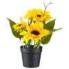 B&M Sunflower Plant Pot -EcoPatio Shop 392959 sunflower