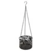 B&M Urban Eden Metal Hanging Planter -EcoPatio Shop 393063 urban eden metal hanging planter