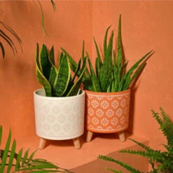 B&M Planter On Tripod Stand - Cream -EcoPatio Shop 393647 superbloom planter on tripod stand terracotta1