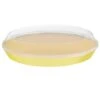 B&M Food Tray With Clear Lid - Yellow