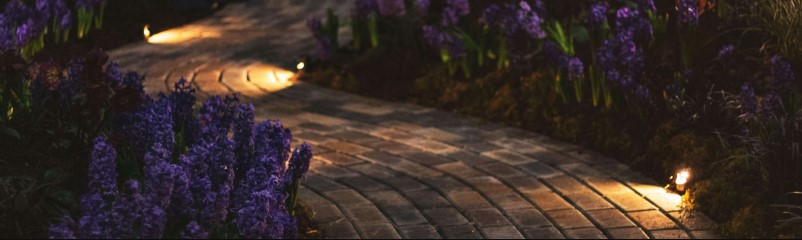 Front Page -EcoPatio Shop banner370